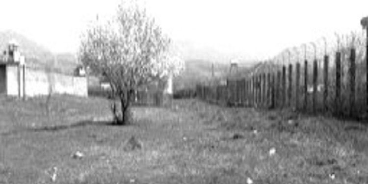 “Fenomeni më i çuditshëm në burgun e Burrelit, ishte ai i shpjegimit të ëndrrave nga disa, si p.sh., Qemal Demiri nga Vlora, i cili disa ditë para se të vdiste Mao Ce Duni, na tha…”/ Dëshmia e rrallë e Uran Kalakullës