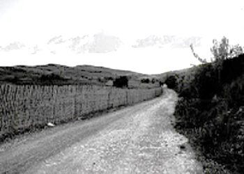 “Llazi do ikte në Pojan të Fierit me Drita Kosturin, por ajo s’vajti dhe atë ditë na njoftuan se vdiq nga infarkti, por kur nëna ime e lau, i pa pas koke…”! / Dëshmia e rrallë e gruas së majorit amerikan, “Llarry Post”!