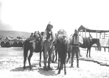 “To his friend, Jani Dani from Popovo, Napoleon Zervas wrote; We must remind our fellow countrymen who liberated Chameria from the Albanians…!”/ The history of the Greek genocide on the Cham population