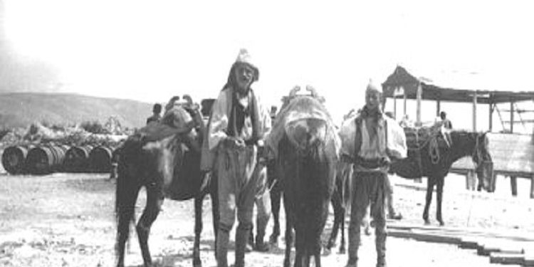 “Mikut të tij, Jani Dani nga Popovi, Napolon Zerva i shkruante; Duhet t’u rikujtojmë bashkatdhetarëve tanë, se kush e çlirojë Çamërinë nga shqiptarët…”! / Historia e genocidit grek, mbi popullsinë çame