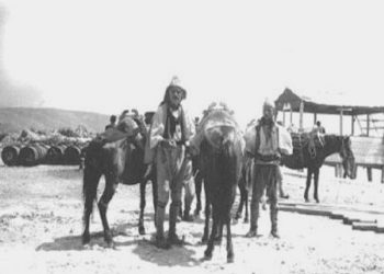 “Greek historiography provides no evidence that in Southern Epirus – Chameria, during the Italian occupation, massacres, village burnings, etc., were committed by Albanians of Chameria…!” / Reflections of the well-known researcher