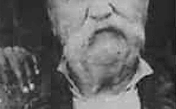 “Kur Nezir Muzhaqi, u informua për plaçkitjen e fshatit Polis nga Brigada e Parë, u del para në Qafë Dardhë dhe i thotë Mehmet Shehut…”/ Ana e panjohur e “Luftës Nacionalçlirimtare” në Librazhd