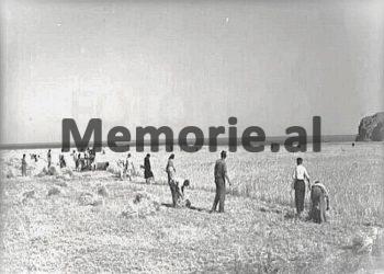 “Babai s’pranonte të hynte në kooperativë dhe kur kryetari e ata të pushtetit në rreth e kërcënuan se do na merrnin tokat e shtëpinë do e bënin SMT, ai…”/ Dëshmia e rrallë e poetit e shkrimtarit Skënder Buçpapaj