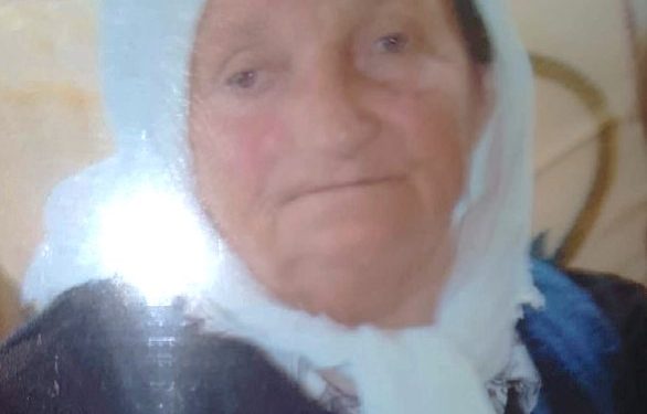 “Kur Nezir Muzhaqi, u informua për plaçkitjen e fshatit Polis nga Brigada e Parë, u del para në Qafë Dardhë dhe i thotë Mehmet Shehut…”/ Ana e panjohur e “Luftës Nacionalçlirimtare” në Librazhd