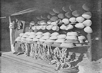 “Revista ‘DRINI’, si organ i ‘Turizmit Shqiptar’, nisi të publikohej në muajt e parë të vitit 1940, nën formë të një Agjencie Gazetarie dhe…”/ Shkrimi i panjohur i Demir Alizotit, në janar të ’44-ës