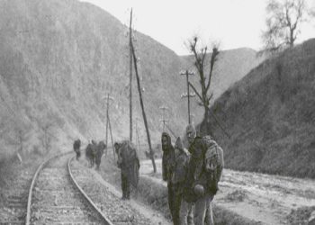 “Në Vuçja Lokva, një grua myslimane u gozhdua e gjallë në një pemë, 26 burra u masakruan, kurse 20 gra e fëmijë…”/ Refleksionet e studiuesit të njohur për spastrimin etnik në Sanxhak, në vjeshtën e 1941-it