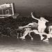 “In June 1965, the Basketball Federation committed one of the greatest injustices in the history of Albanian sports: it decided that the ‘Vllaznia’ – ’17 Nëntori’ final would take place in…” / Reflections from the renowned sports journalist.