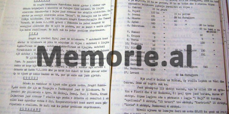 “Temperatura, – 25 gradë, dëbora 2 deri 3 m., dhjetra të vdekur nga orteqet, mijra ha toka dhe shtëpi banimi të përmbytura…”/ Zbulohet dokumenti sekret për motin e keq që “gjunjëzoi” Shqipërinë, 7-15 janar 1985