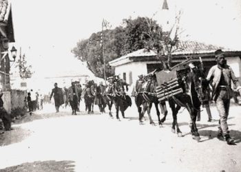 “Nga Dibra është Riza Tefik Bylykbashi, një personalitet i rangut botëror, filozof, mik i Ismail Qemalit në parlamentin turk, i njohur ndryshe edhe si ‘Volteri’ i Turqisë, pasi…”/ Refleksionet e studiuesit të njohur