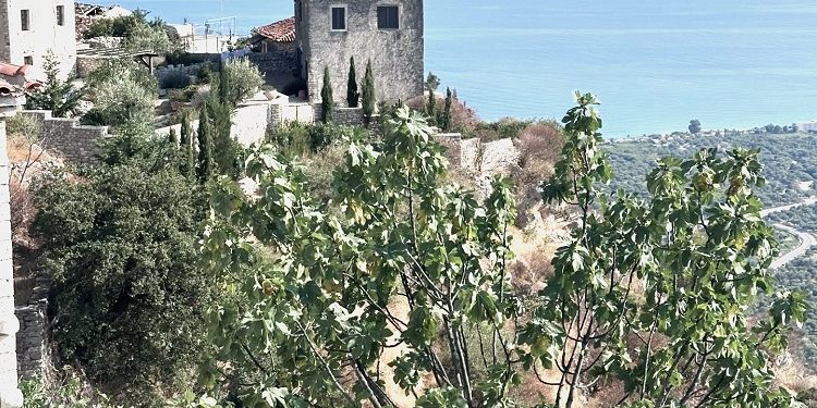 “Në vjeshtën e 1941-it, kur shërbente si drejtues i shkollave në Himarë, arrestohet nga grekët dhe dërgohet në komandën e Divizionit në Kudhës, i akuzuar…”/ Historia e panjohur e atdhetarit Janko Ll. Pali