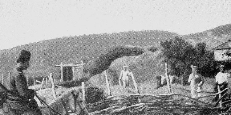 “Paaftësia e shqiptarëve për të ndryshuar individualitetin e tyre, reflektohet tragjikisht në ekzistencën e…”/ Si paraqiteshin shqiptarët në sytë e Perëndimit në fillimet e shekullit të kaluar