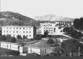 “Krijuan një organizatë të quajtur ‘Fafaic’, caktuan detyrën dhe pseudonimin për çdo pjestar të grupit, mbledhjet i bënin në një bunker…”/ Dokumenti i Sigurimit i ’73-it, drejtuar Hysni Kapos për grupin nga Lezha