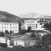 “Krijuan një organizatë të quajtur ‘Fafaic’, caktuan detyrën dhe pseudonimin për çdo pjestar të grupit, mbledhjet i bënin në një bunker…”/ Dokumenti i Sigurimit i ’73-it, drejtuar Hysni Kapos për grupin nga Lezha