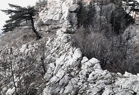 “Ndërsa ishte në mbrojtje të shtëpisë së Gerës, me 9 gusht 1947, rrethohet nga Forcat e Ndjekjes në Munegjë dhe pas gjashtë orësh luftë…”/ Si i vra Llesh Gjon Marku, djali i tretë i Kapidanit të Mirditës