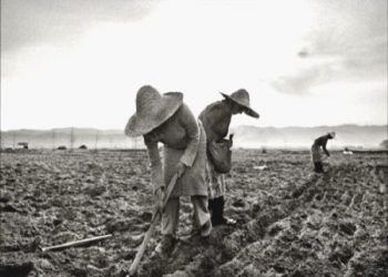 “Atë dita mbushja 10 vjeç dhe nata e parë që fjetëm në internim, ishte e tmerrshme, pasi fshatarët e kishin përdorur atë vend për banjë dhe kundërmonte vetëm erë…”/ Dëshmia e trishtë e Alma Liços