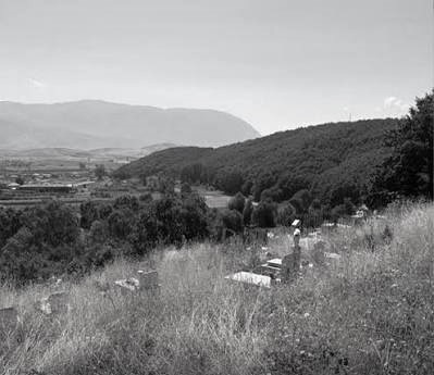 “Atë dita mbushja 10 vjeç dhe nata e parë që fjetëm në internim, ishte e tmerrshme, pasi fshatarët e kishin përdorur atë vend për banjë dhe kundërmonte vetëm erë…”/ Dëshmia e trishtë e Alma Liços
