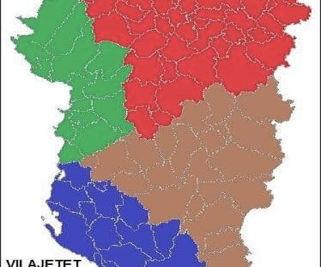 “Për historiografinë tonë të sotme, janë krejtësisht të huaja synimet që u atribuohen nga disa studiues të sotëm të tipit të Dimitrije Bogdanoviçit, i cili për ilirët …”/ Refleksionet e studiuesit nga Kosova