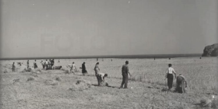 “Mirë që na akuzuan për tradhëti që u rrëzua monumenti i shokut Enver, por më erdhi sekretari i parë i Vlorës, Manxhar Binaj e më tha…”! / Fjala e Ramiz Alisë në mbledhjen sekrete të Byrosë, 6 mars ‘91