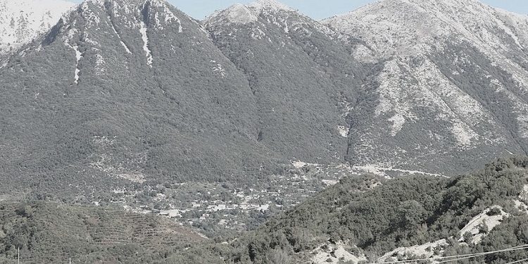 “Midis katundeve Mursi dhe Xarë, në Mallafre, Ndërmarrja Bujqësore Vrinë, vuri zjarr për djegjen e kullotave, por ai u zgjerua dhe u dogjën 15 vetë…”/ Zbulohet dokumenti sekret i 4 shtatorit 1974