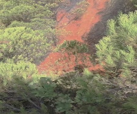 “Midis katundeve Mursi dhe Xarë, në Mallafre, Ndërmarrja Bujqësore Vrinë, vuri zjarr për djegjen e kullotave, por ai u zgjerua dhe u dogjën 15 vetë…”/ Zbulohet dokumenti sekret i 4 shtatorit 1974