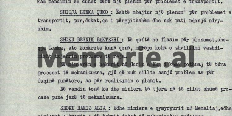 “Në një bisedë me Zhoa Amazonas, i fola edhe për problemet e naftës në vendin tonë dhe kompanitë e huaja që janë ofruar, por ai…”/ Zbulohet dokumenti me fjalën e Ramiz Alisë në Byro, 6 qershor ‘89