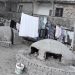 “After 10 years, the communist government of Enver Hoxha has imprisoned at least 10 percent of the population in prisons and concentration camps and forced labor, as ‘enemies of the people’ and…”/ Secret CIA documents