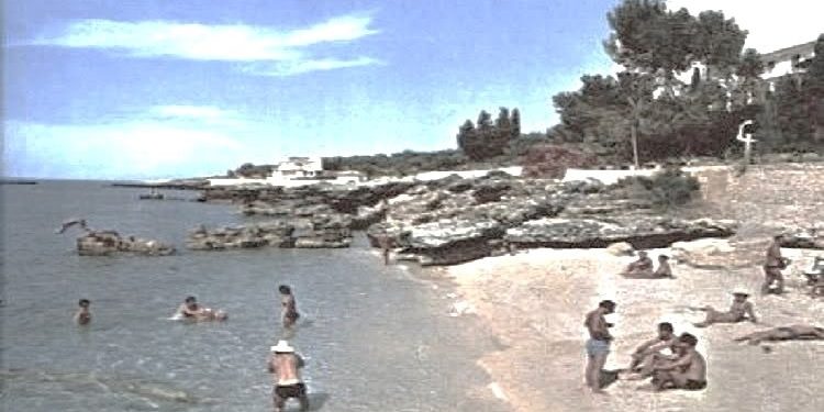 “Bëhen rite fetare në Dhërmi e në Himarë, vendosen kryqe, turistët që vijnë janë të asfalisë greke, por shoku Dhimitër Çili nuk…”/ Raporti sekret i Halil Haskos nga Vlora për Ramiz Alinë, 20 shtator 1990