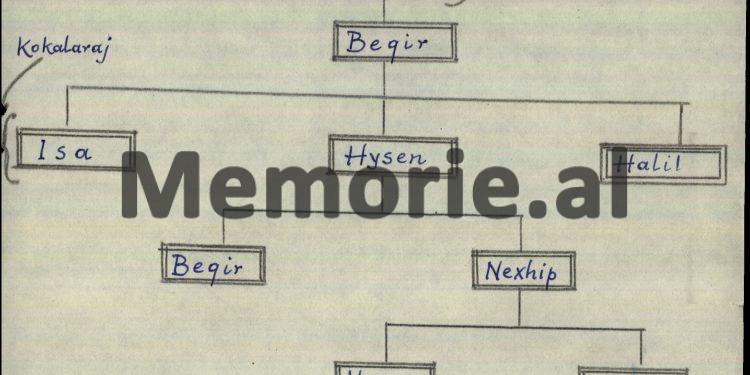 “Nga pema gjenealogjike me të parin e fisit Hoxha, Kol Gjonin, deri te dy djemtë, Iliri me Sokolin…”/ Zbulohen 3 biografitë e Enver Hoxhës në fondin e tij personal, të shkruara deri në 1969-ën, që s’u publikuan kurrë…!