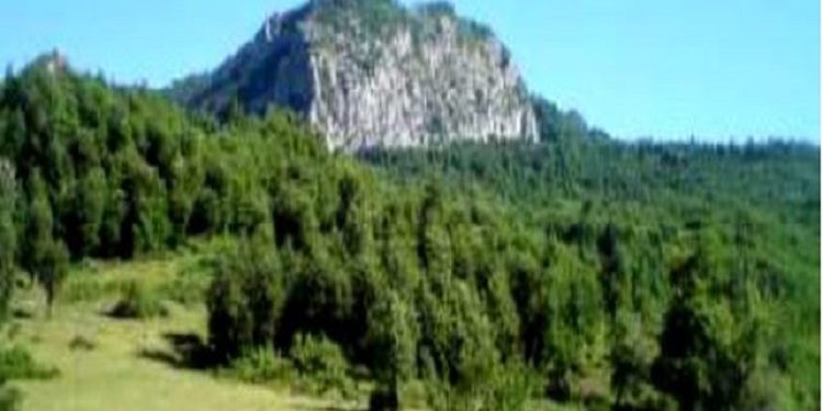 “Për pushkatimin e karabinierëve dhe oficerëve të tyre, u angazhua Kadri Hoxha, me batalionin tim, ndërsa 17 prej tyre, i kam pushkatuar….”! Historia e masakrës ndaj “Kolonës Gamucci”, 15 tetor ‘43