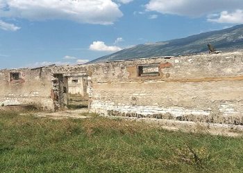 “Sëmundjet që prekin më shumë të burgosurit janë malaria dhe dizenteria, të cila përhapet në mënyrë epidemike dhe gjatë vitit 1950, në kamp vdiqën 100 veta…”/ Zbulohen dokumentet sekrete të CIA-s
